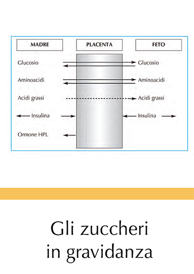 Gli zuccheri in Gravidanza