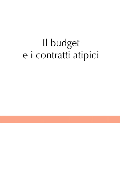 Il budget e i contratti atipici