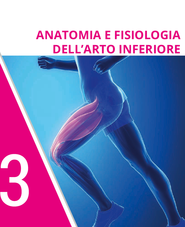 ANATOMIA E FISIOLOGIA DELL’ARTO INFERIORE